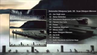 Seyfi Yerlikaya - İnsan Olduğum Bilemem