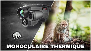 CAMERA THERMIQUE POUR LA PHOTO ANIMALIÈRE ? HIKMICRO GRYPHON GQ35L