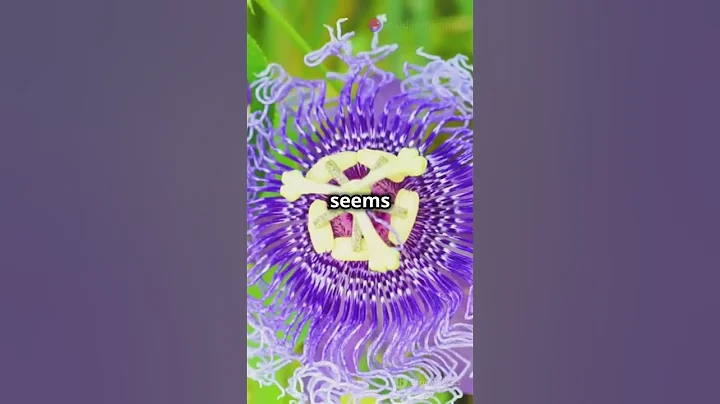 Discover the World's Most Exotic Flowers