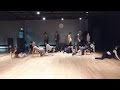 WINNER - REALLY REALLY Dance Practice (Mirrored)
