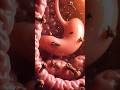 Why Millions Are Eating Cloves Every Morning 🌿#shorts#3danimation #clover #healthtips