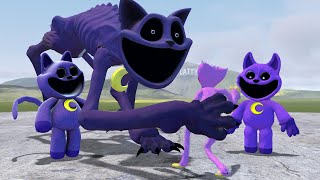 New Catnap Monster Poppy Playtime Chapter 3 In Garry's Mod!