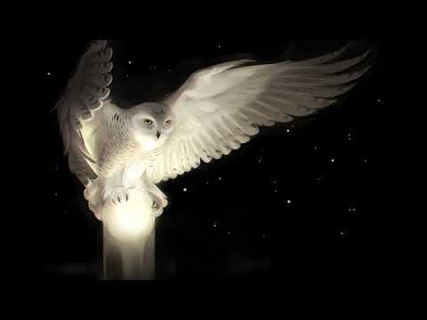 ბუ \u0026 თინათინ ჭულუხაძე  - გალაკტიონი