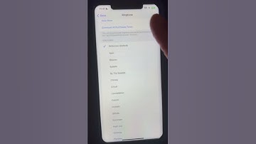 iPhone XS Max iOS 16 reflection ringtone