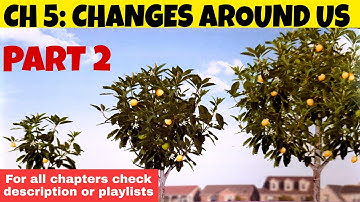 DAV CLASS 6 SCIENCE | CHAPTER 5 CHANGES AROUND US | FULL EXPLANATION PART 2