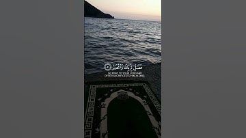 سورة الكوثر#quran #قرآن #اكسبلور #explore #راحة_نفسية #funny #viral #viralvideo #video