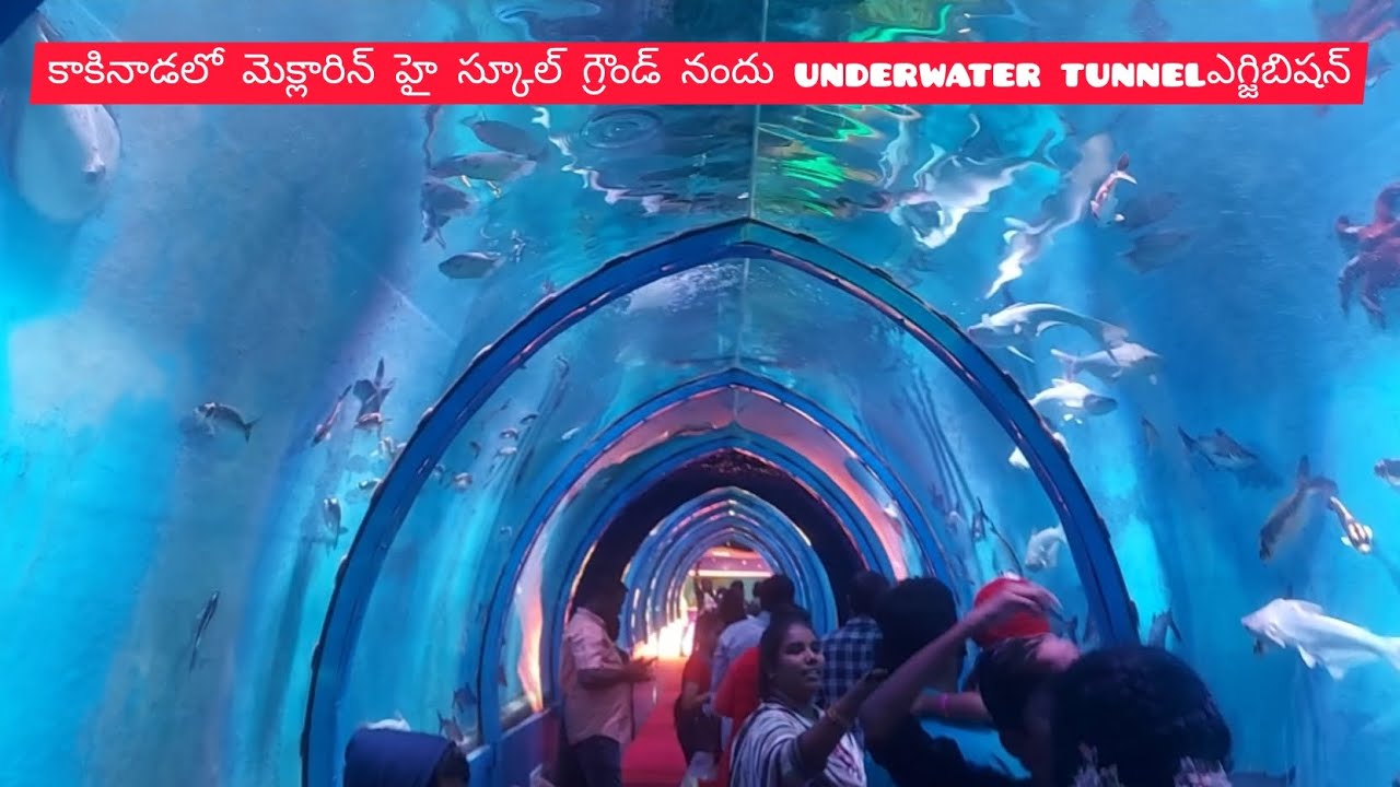 Kakinada underwater tunnel exhibition at Mclaren High school grounds