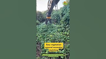Easy vegetation removal excavator mulching- Good tools and machinery can increase work efficiency