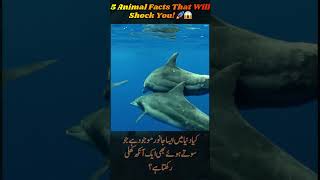 5 Amazing Animal Facts That Will Shock You 😱