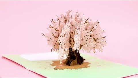 PopLife Cherry Blossom Pop Up Card
