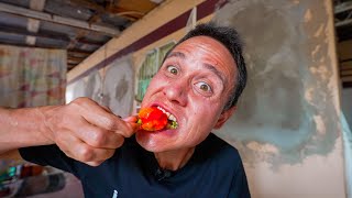 1,463,700 Scoville!!  SCORPION CHILI PEPPERS  Spiciest Food in Trinidad & Tobago!!