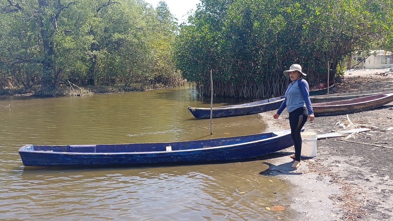 BUSCANDO LOS PESCADOS EN ÉSTE RÍO ENORME 🐠🐠🐟🐟🐠