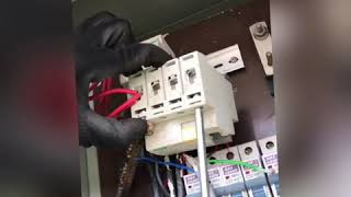 Wiring
