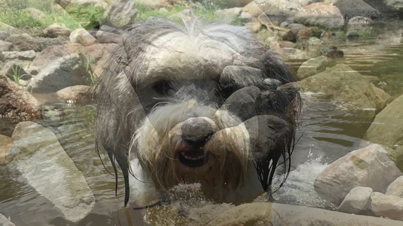 Ten Things You Didn’t Know About Los Cabos and BCS ‎|  Cabos Finest ‎| Cabo San Lucas Real Estate