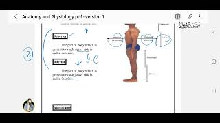 Anatomy | Pharmacy Technician | Chapter 2 | Terminologies | Lecture 1