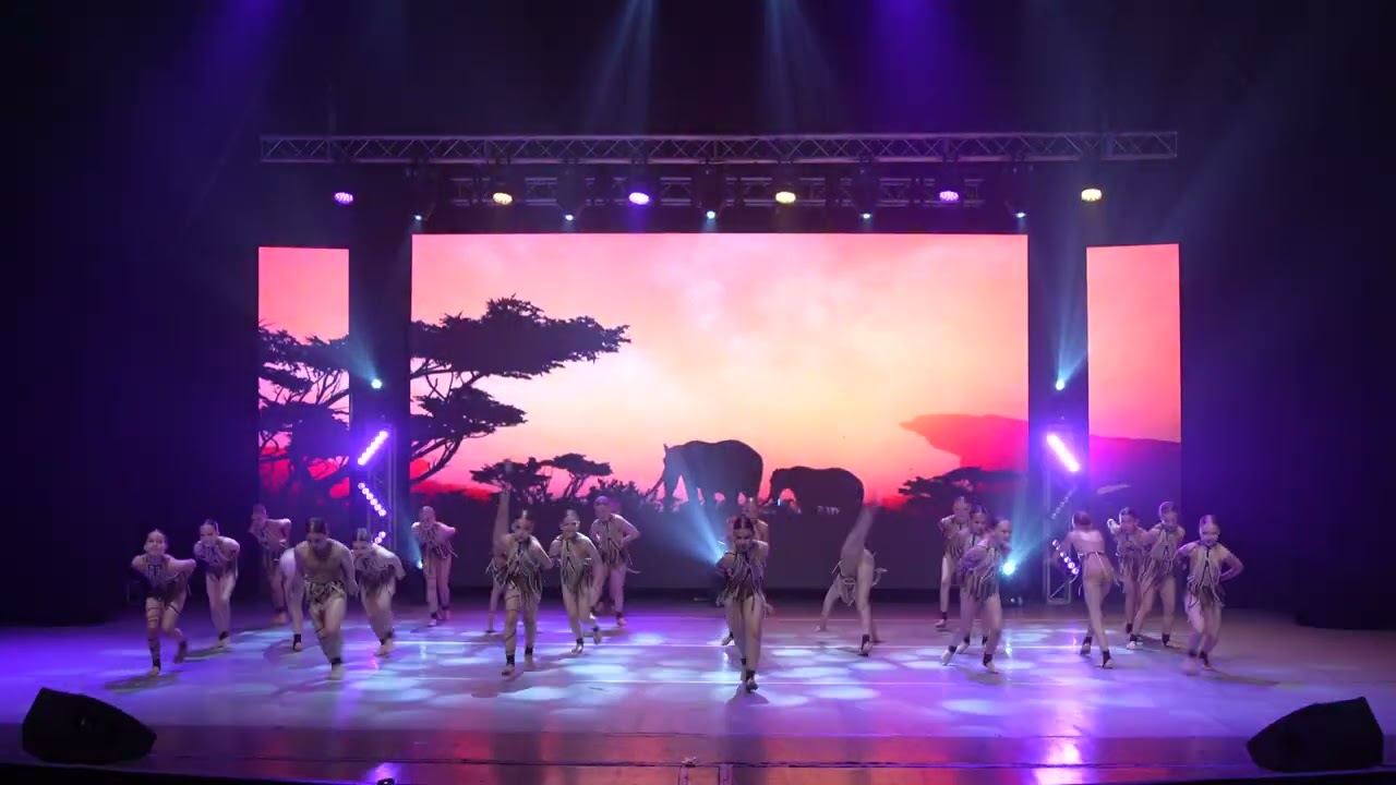 Звітній концерт танцювального ансамблю СТЕЛЗ Київ, танок PRIDE (АФРІКА)