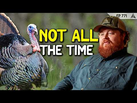 When Locator Calls Actually Work for Turkeys