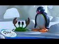 Pingu and the School Pet 🐧 | Pingu - Official Channel | Cartoons For Kids