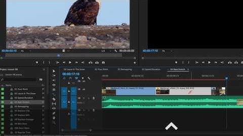 Premiere Pro CC 2017 Using the Rate Stretch Tool