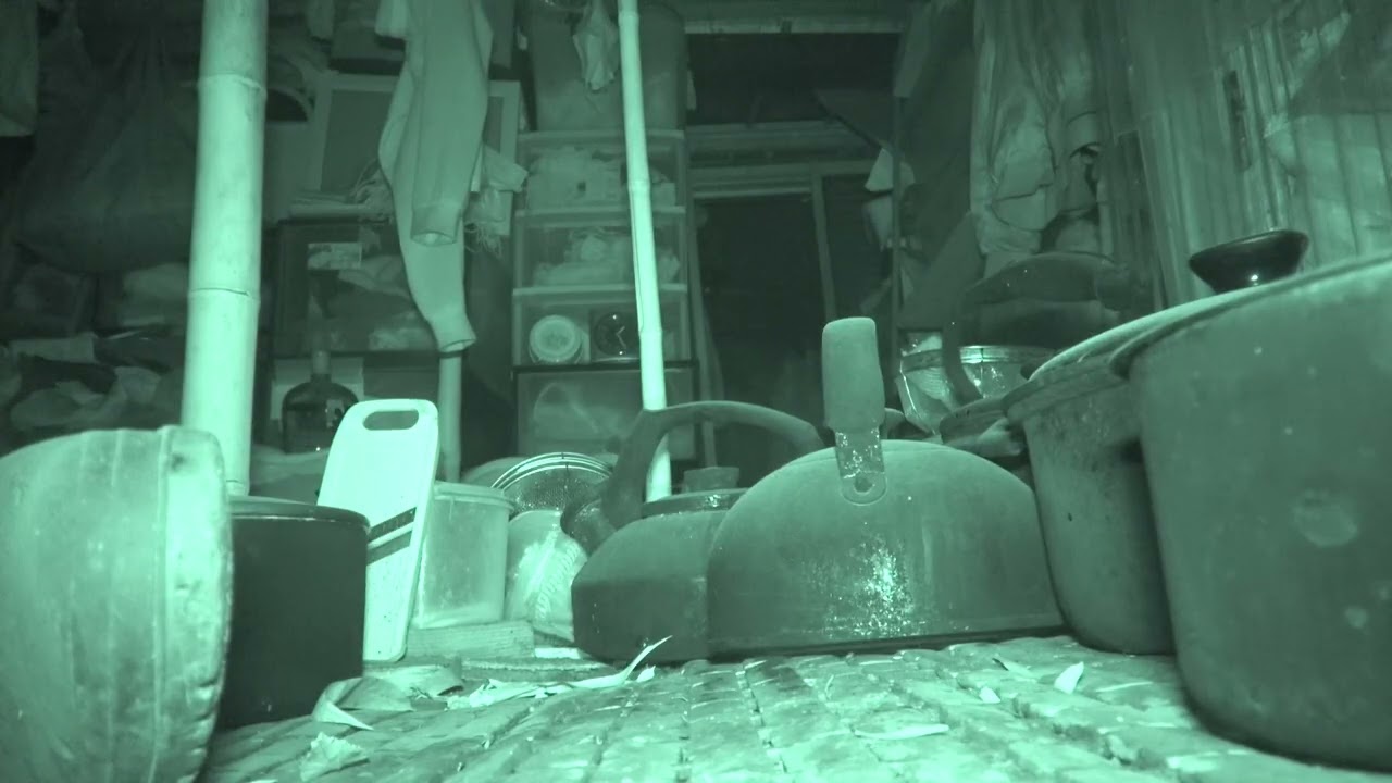 2026年3月24日（火）埼玉県熊谷市心霊スポットLIVE放送時『荒川の怪屋』編の無人カメラ58分間の映像記録