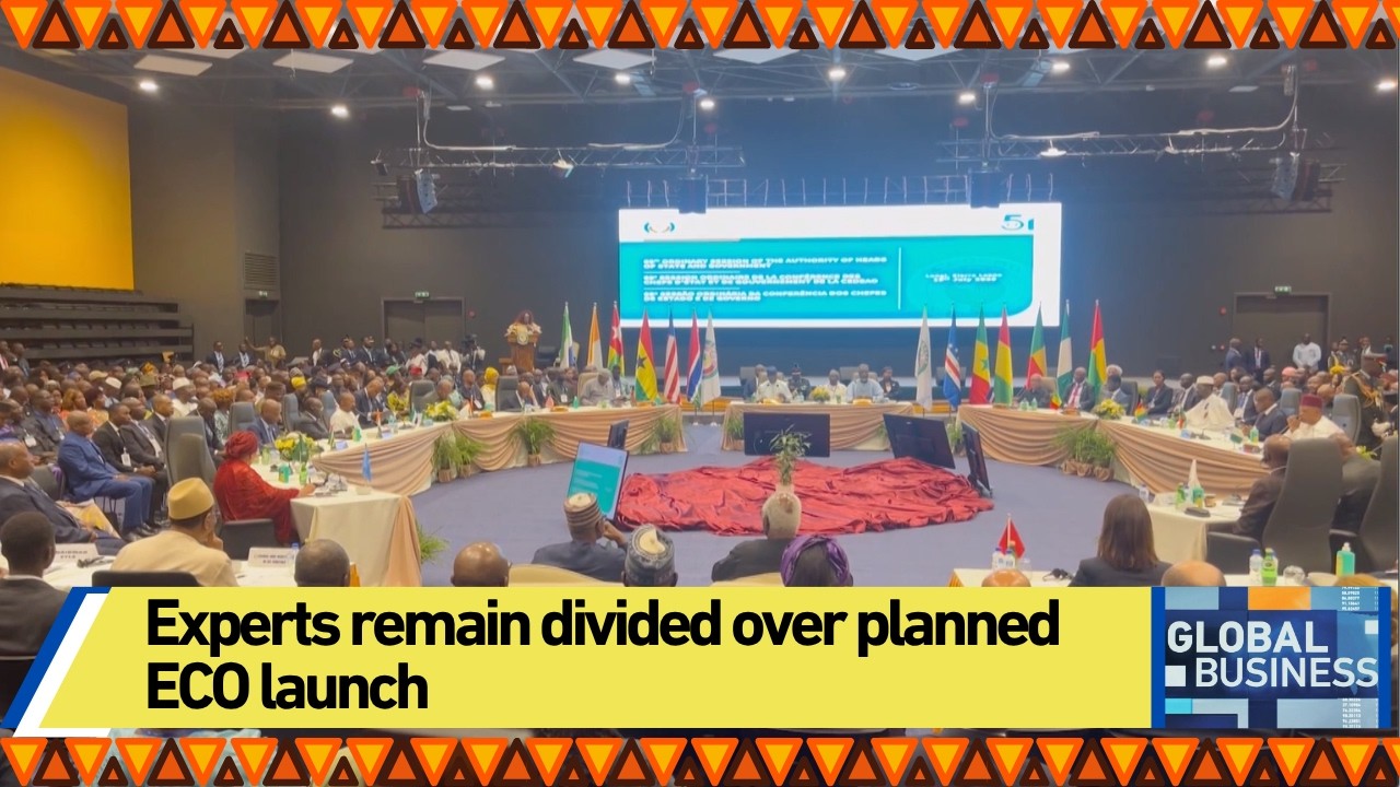 Experts remain divided over planned ECO launch