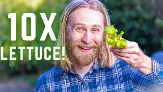 How to Grow LETTUCE: 10 Tips For An Amazing Harvest by Nextdoor Homestead 3,021 views 1 year ago 7 minutes, 35 seconds