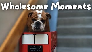 This Idea Could Be Worth Millions Wholesome Moments