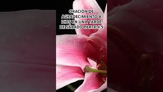 ORACIÓN DE AGRADECIMIENTO A DIOS EN UNA TARDE DE SÁBADO PARTE # 5