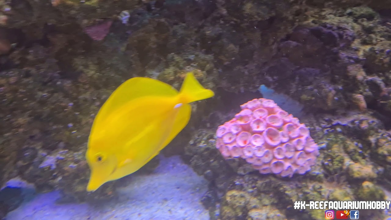 update end of 2021- Wish you all the best for the new year!