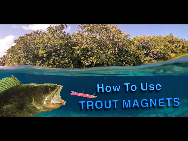 How To Fish TROUT MAGNETS In Creeks Or Rivers (WE GOT A CUTTY!!) 