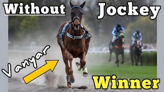 Vanyar: Racehorse Who Won Without Jockey #vanyar #horseracing #horse #horses