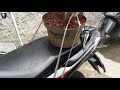 Bonsai Beringin Korea (dollar karet) / Bonsai Korean Trees