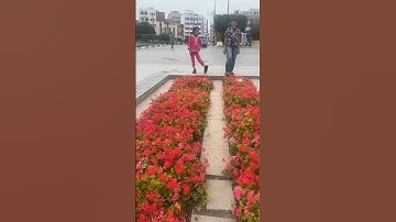 ساحة محمد السادس بمدينة الحسيمة #النظافه #اهميه