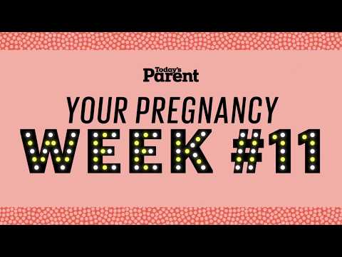 Video: 11 Weeks Pregnant - Fetal Size, Belly, Pain