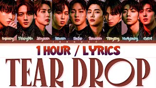SF9 (에스에프나인) - Tear Drop (1 Hour) Lyrics | 1시간