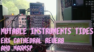 Mutable Instruments Tides + EHX Cathedral + Max