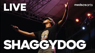 SHAGGYDOG: Live At Gemilang Merdeka Classic Fest Magelang 2023