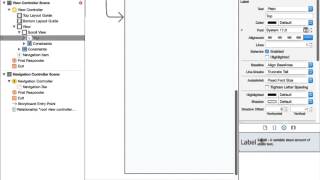 Scroll View Fix in iOS