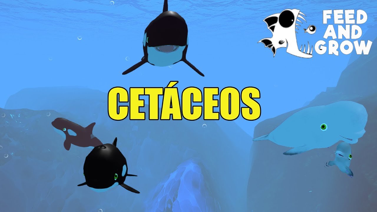 Feed And Grow Fish Gameplay Espanol Feed And Grow Fish Gameplay Espanol