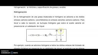 teoría de lípidos 4