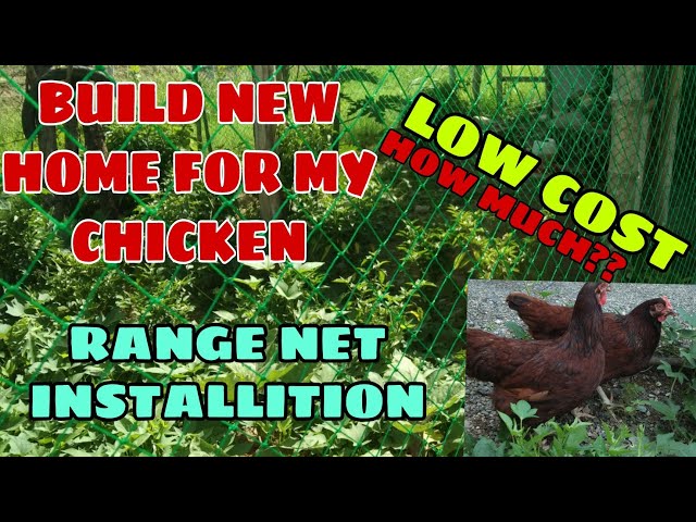 Chicken net /Range net /Poultry - Chicken NET or Range Net