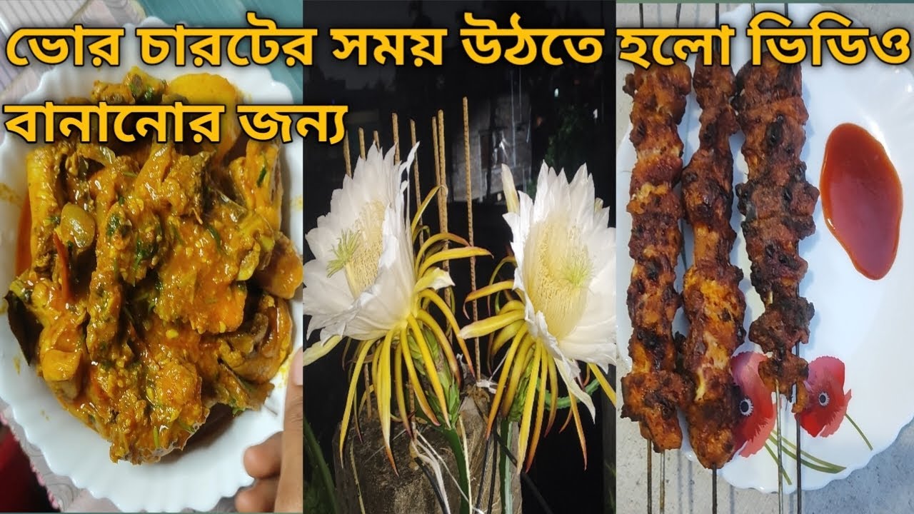 Vor 4 ter somoy utte holo video korar jonno. ajj chicken ar duto notun ...