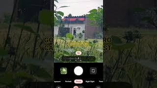 google pixel 6 pro Camera Zoom test results #pixel6pro #zoomtest #teampixel #shotonpixel