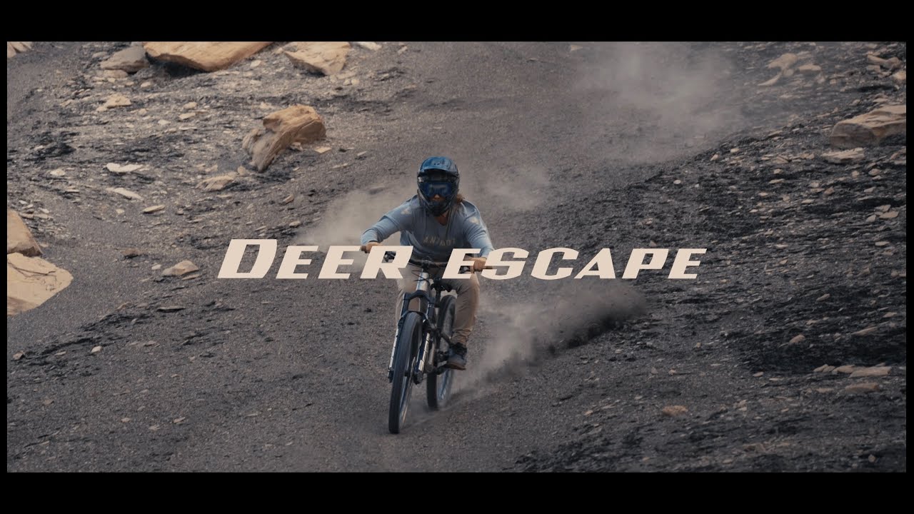 Deer Escape - by Animoz - Ken Desmazeau