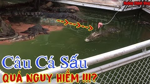 Câu Cá Sấu Khổng Lồ Ở Khu Du Lịch Suối Tiên. #141