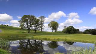 My Cavan Girl - tin whistle
