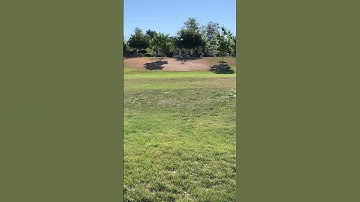 Arrma Tlr typhon speed run on grass 🏎️💨💨