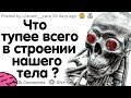 ЧТО ТУПЕЕ ВСЕГО В СТРОЕНИИ НАШЕГО ТЕЛА? #2