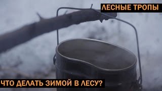 Зимой в лесу: чай из ели на природе у костра (видео клип)
