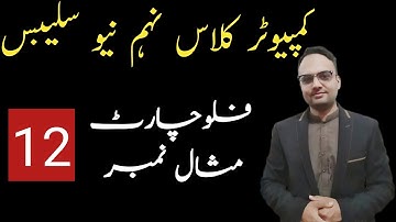 Flow Chart last Example #12 || 9th Computer Science || New syllabus